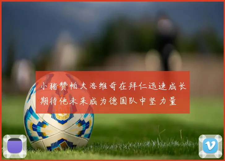 小猪赞帕夫洛维奇在拜仁迅速成长期待他未来成为德国队中坚力量