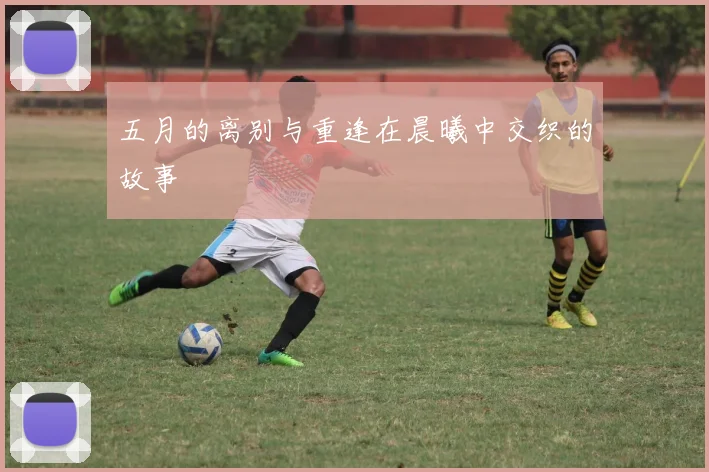 五月的离别与重逢在晨曦中交织的故事